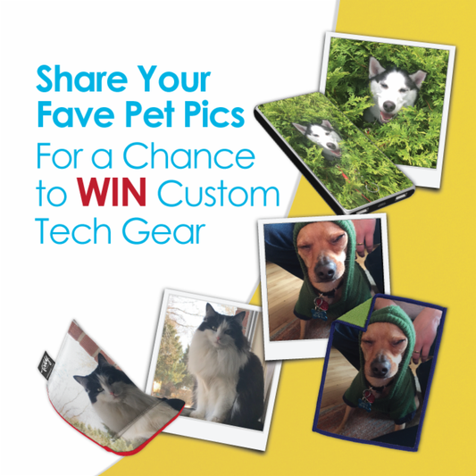 Enter the #PutYourPetOnIt Photo Contest!